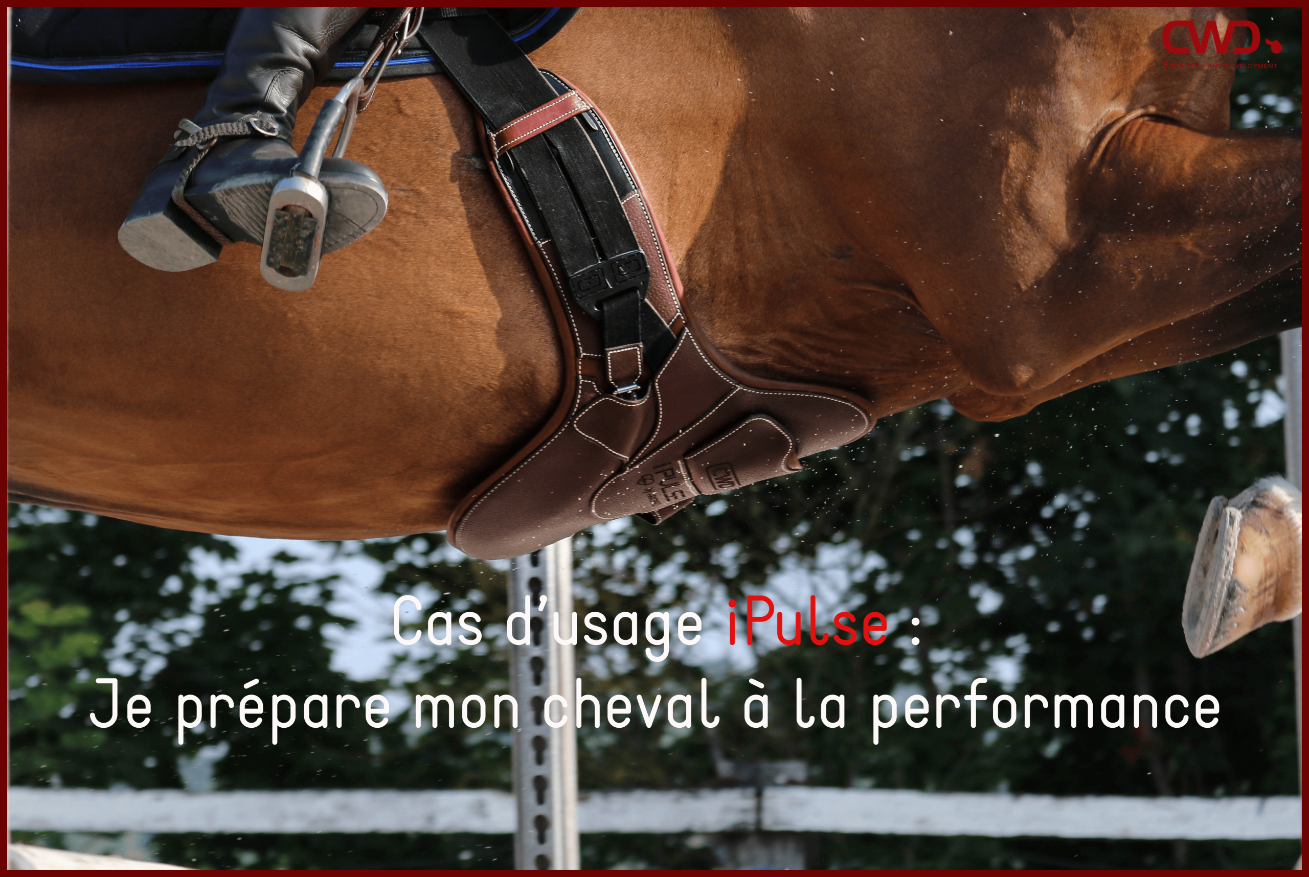 Je prépare mon cheval à la performance