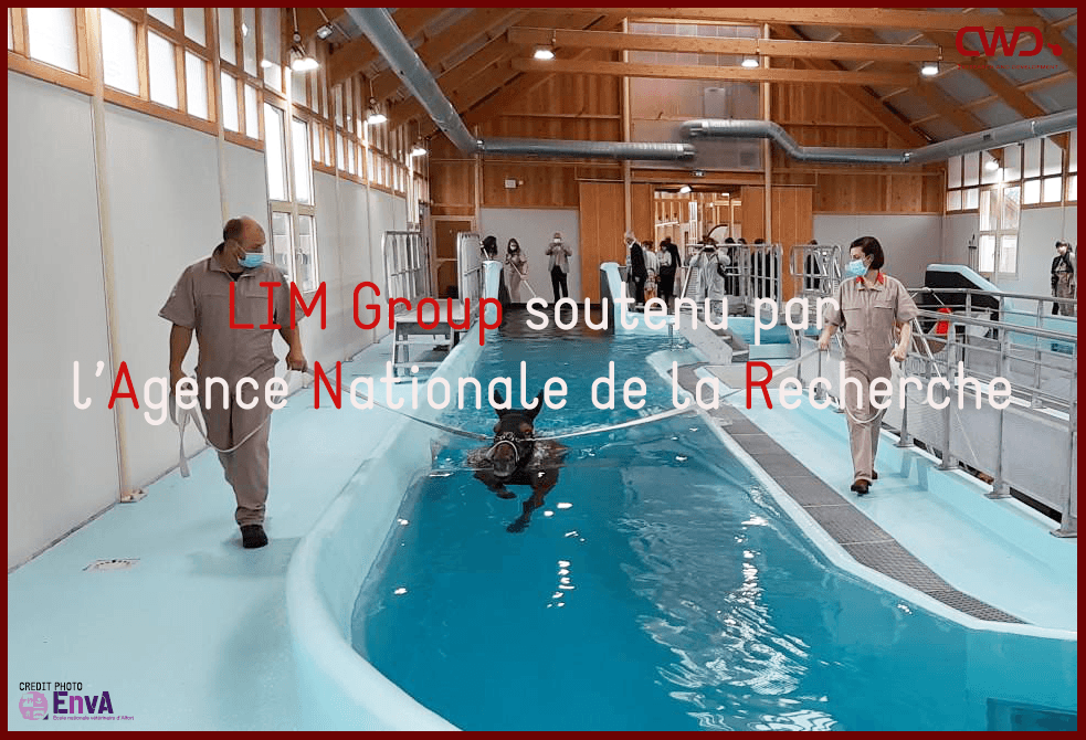LIM Group soutenu par l’Agence Nationale de la Recherche
