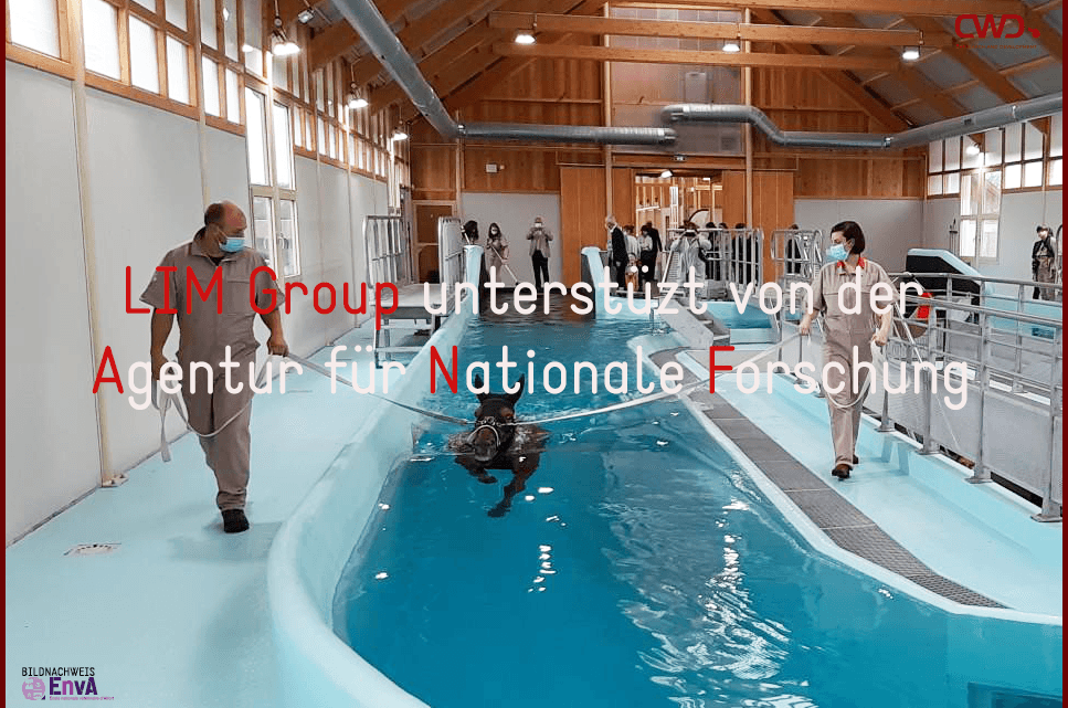 LIM Group unterstüzt von der ANR (Agentur für Nationale Forschung)