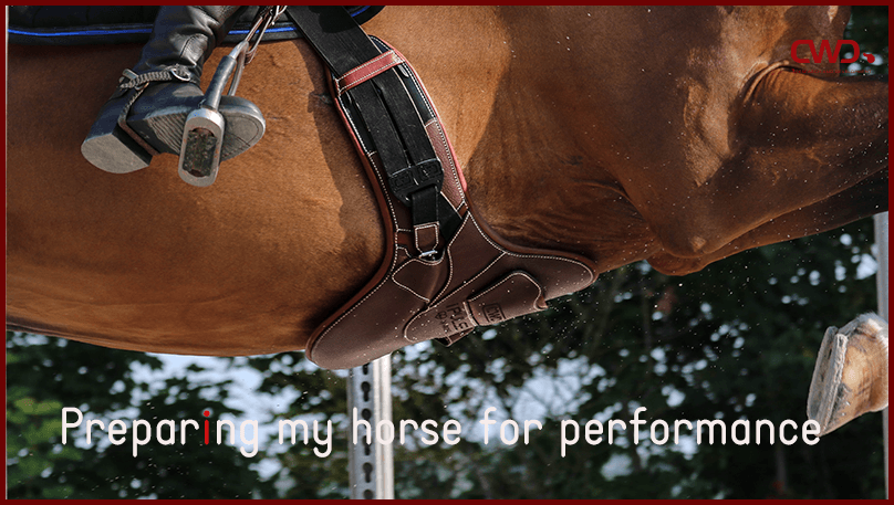Preparing my horse for performance