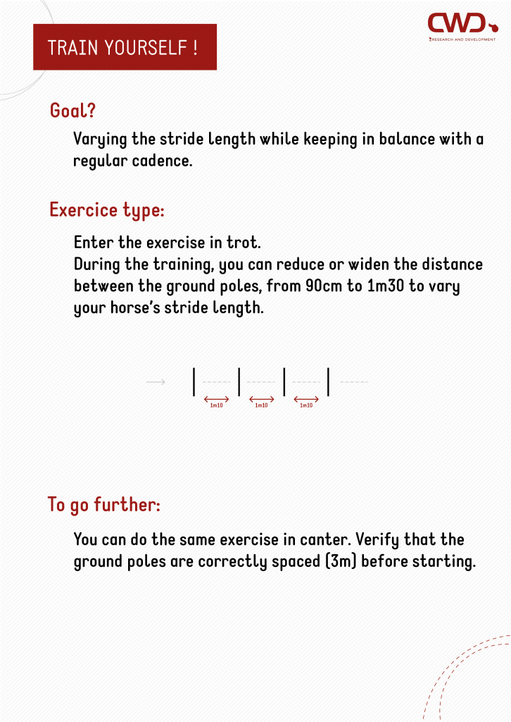 Exercise to work on horse stride length