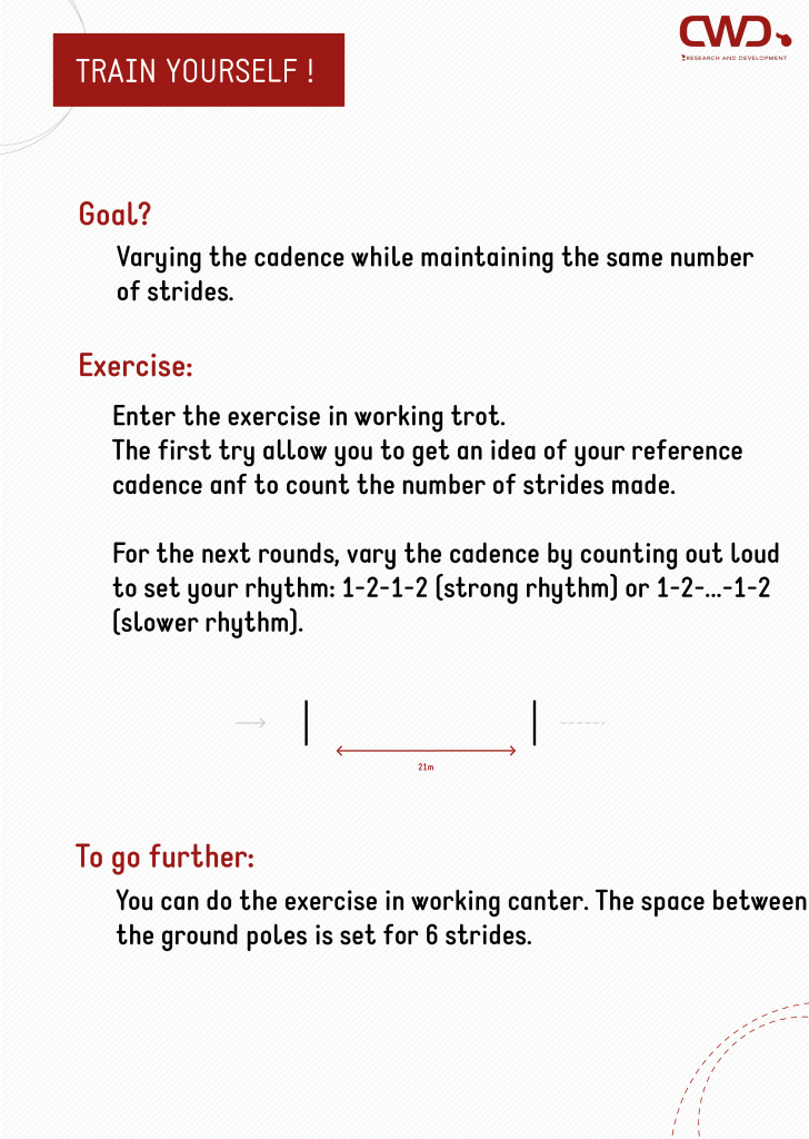 Exercise to work on horse cadence