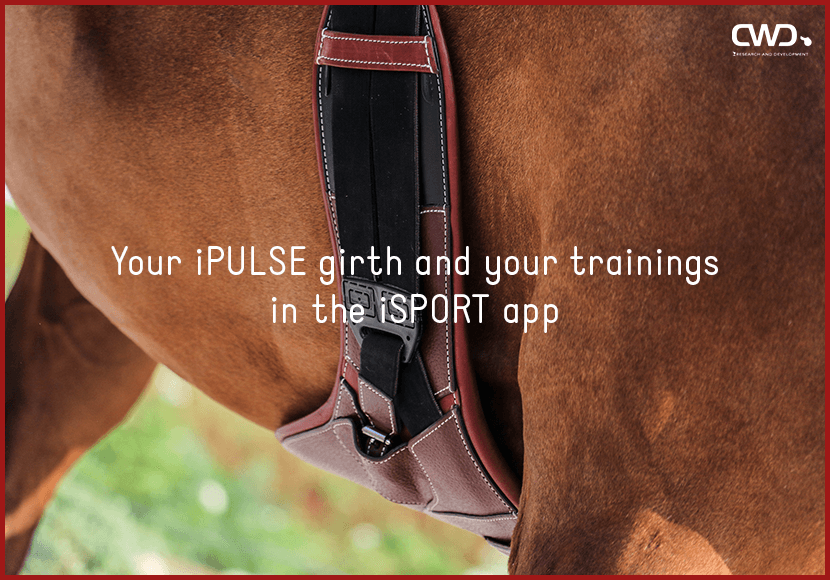 Your iPULSE girth and your trainings in the iSPORT app.