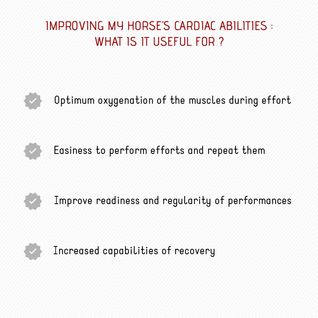 improve horse cardiac abilities performance