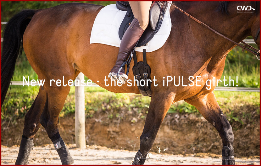 New release: the short iPULSE girth!